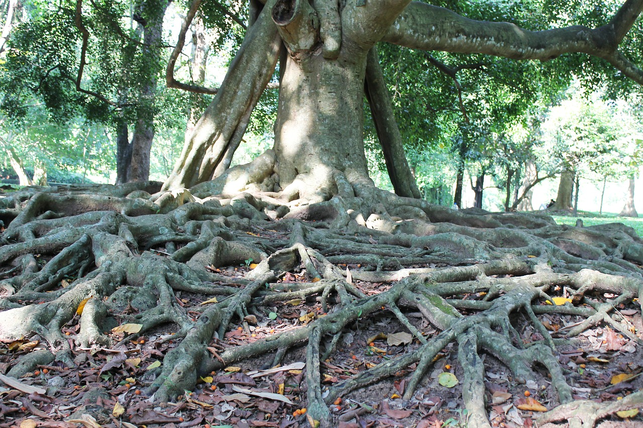 grounding practice