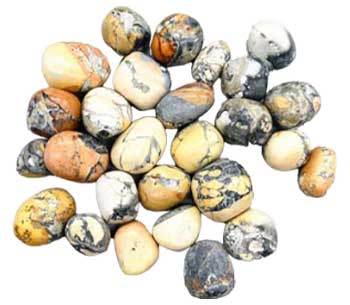 1 lb Jasper, Maligano tumbled