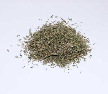 Catnip cut 2oz  (Nepeta cataria)
