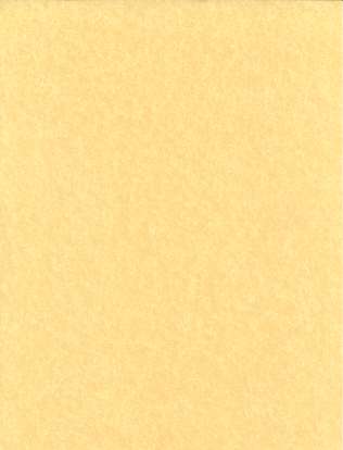Light Parchment 500 Pack (8 1/2" x 11")