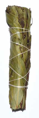 3" Eucalyptus Citridora smudge stick